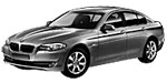 BMW F10 B244A Fault Code